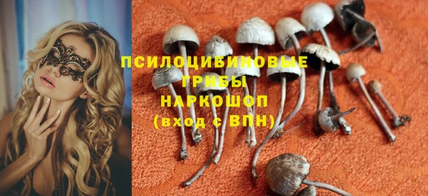 крисы Бугульма