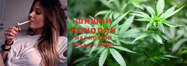 крисы Бугульма